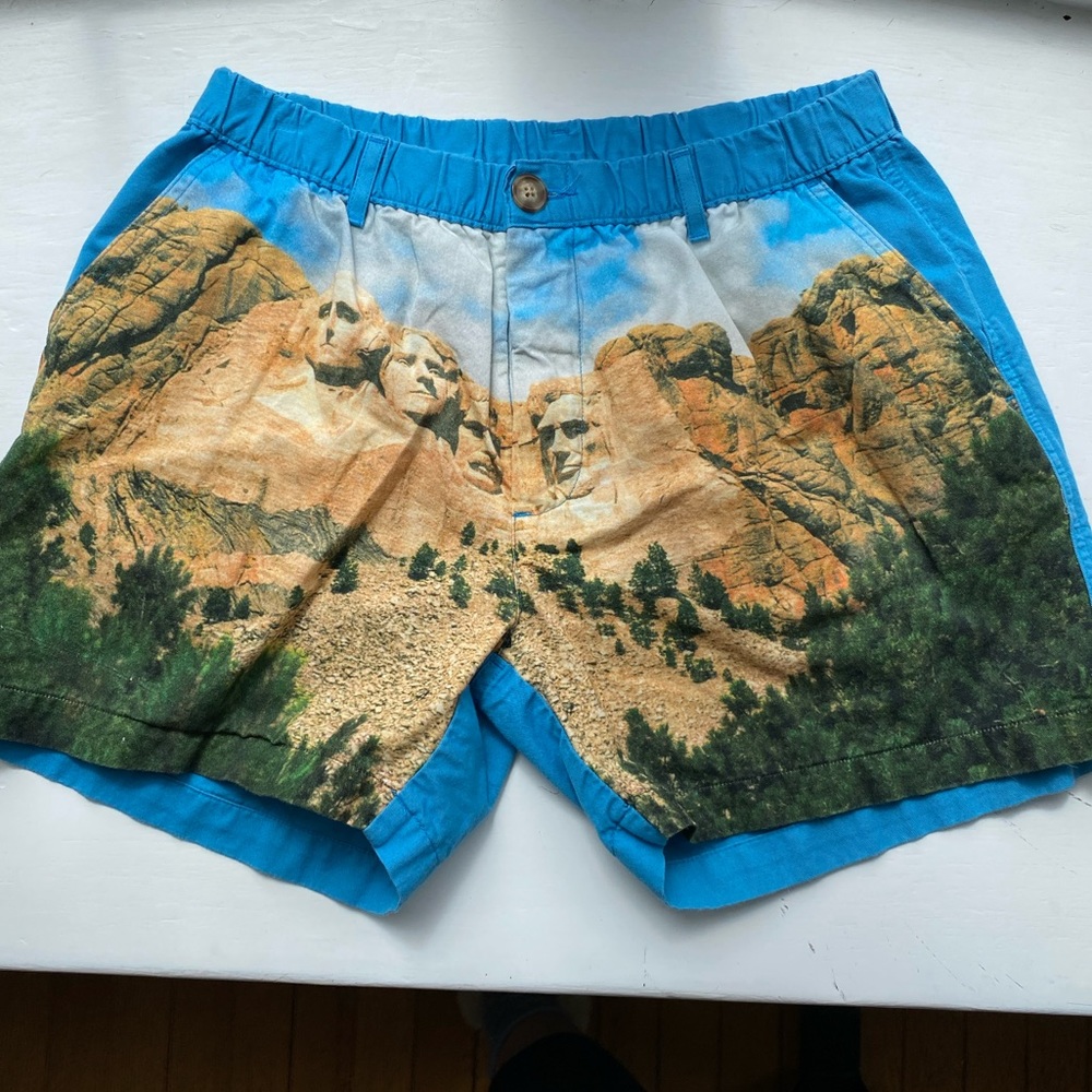 Men’s Chubbies RARE Mt Rushmores MED 5.5 inch